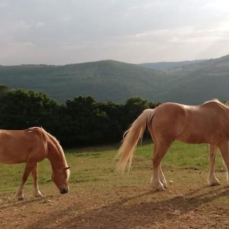 ורונה B&B Ca Montemezzano מראה חיצוני תמונה